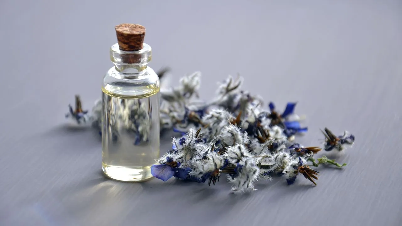 Frasco de aceite esencial junto a flores secas de lavanda